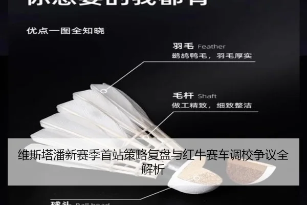 维斯塔潘新赛季首站策略复盘与红牛赛车调校争议全解析